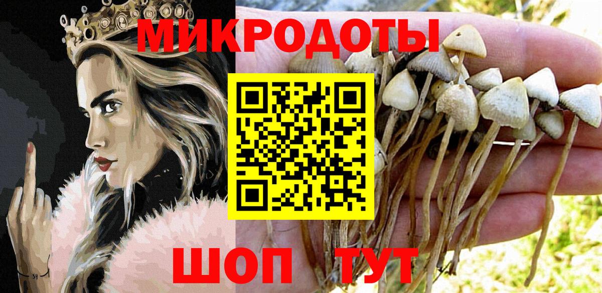 Псилоцибиновые грибы ЛСД Моздок